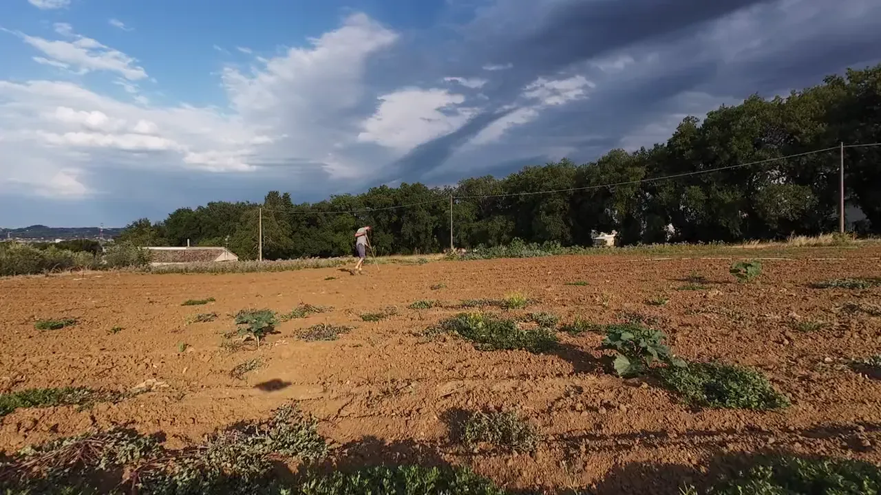 Una persona cammina nel campo appena lavorato.